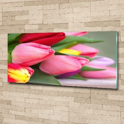 Foto op plexiglas Kleurrijke tulpen