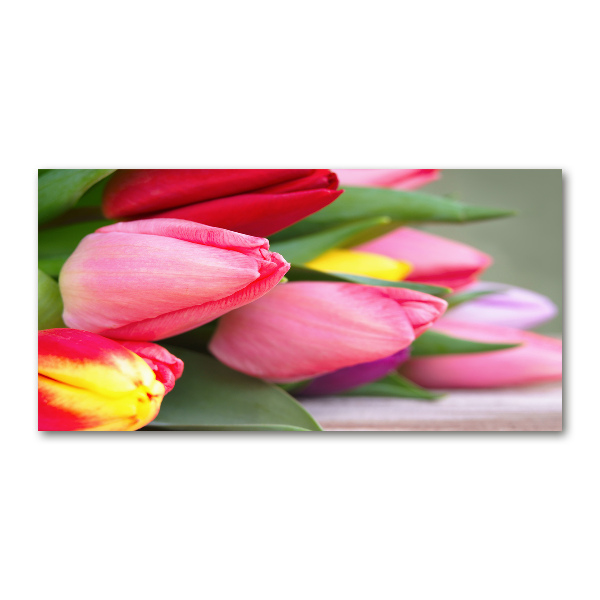 Foto op plexiglas Kleurrijke tulpen