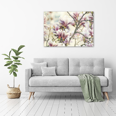 Plexiglas foto Magnolia