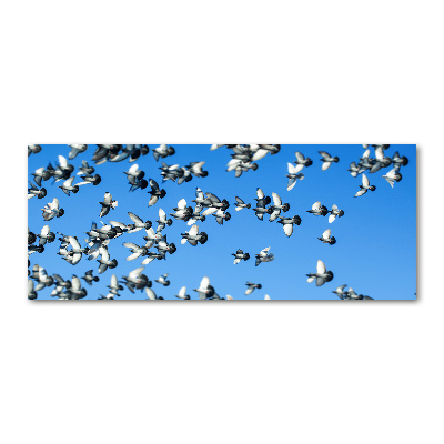 Foto op plexiglas Een zwerm duiven