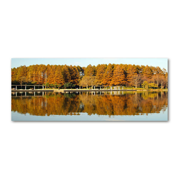 Foto in plexiglas Bos aan het meer