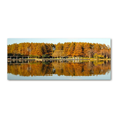 Foto in plexiglas Bos aan het meer