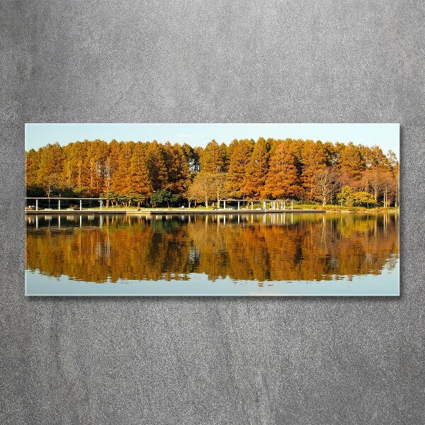 Foto in plexiglas Bos aan het meer