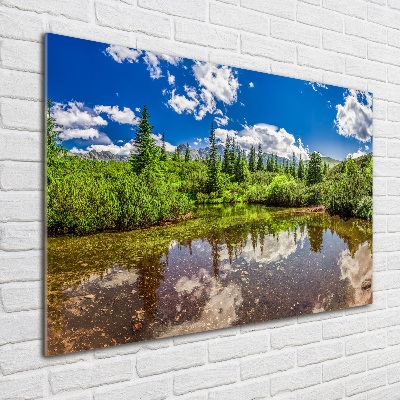 Schilderij op acrylglas Meer in het bos
