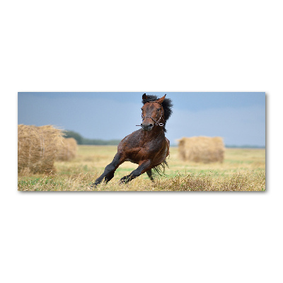 Foto plexiglas Een galopperend paard