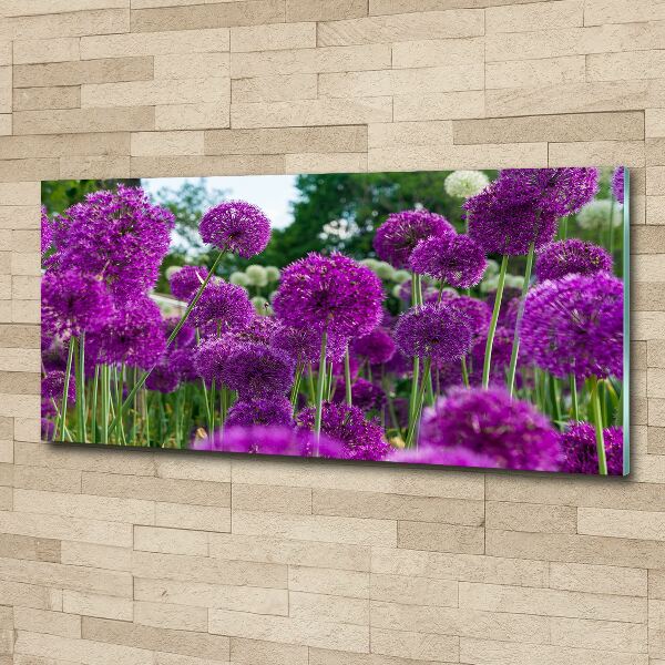 Schilderij op acrylglas Knoflookbloemen