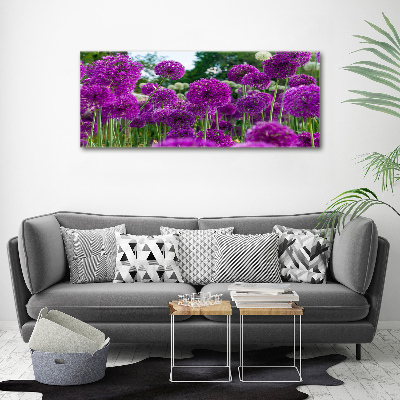 Schilderij op acrylglas Knoflookbloemen