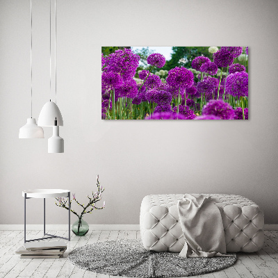 Schilderij op acrylglas Knoflookbloemen