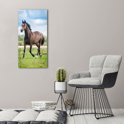 Staand foto op plexiglas Een paard in een veld
