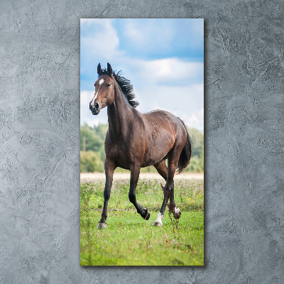 Staand foto op plexiglas Een paard in een veld