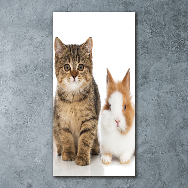 Staand plexiglas foto Huisdieren