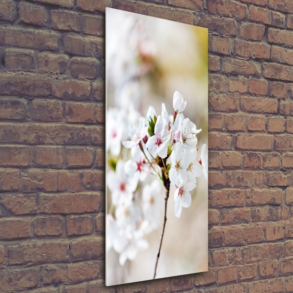 Staand plexiglas foto Kersenbloesems