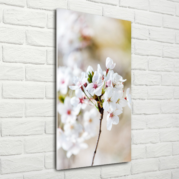 Staand plexiglas foto Kersenbloesems