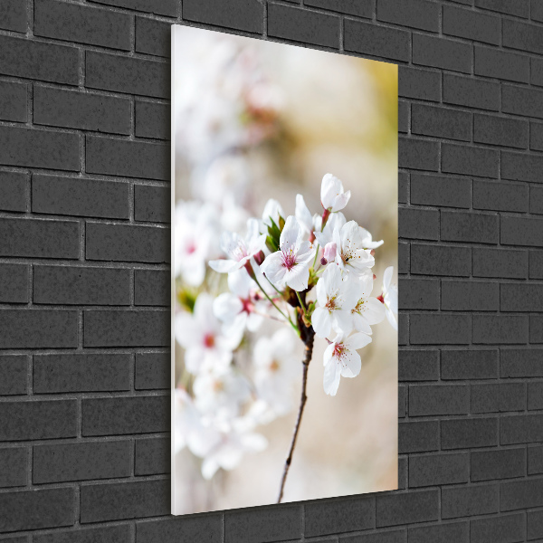 Staand plexiglas foto Kersenbloesems