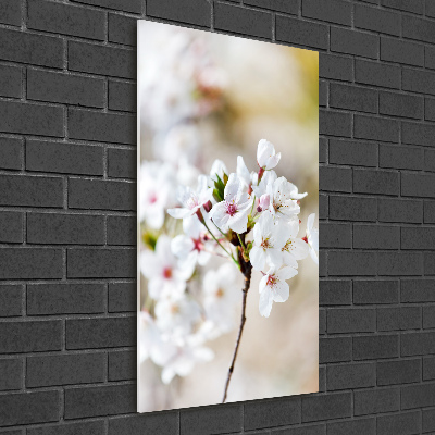 Staand plexiglas foto Kersenbloesems