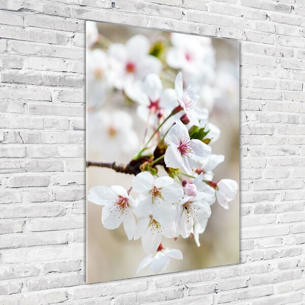 Staand plexiglas foto Kersenbloesems