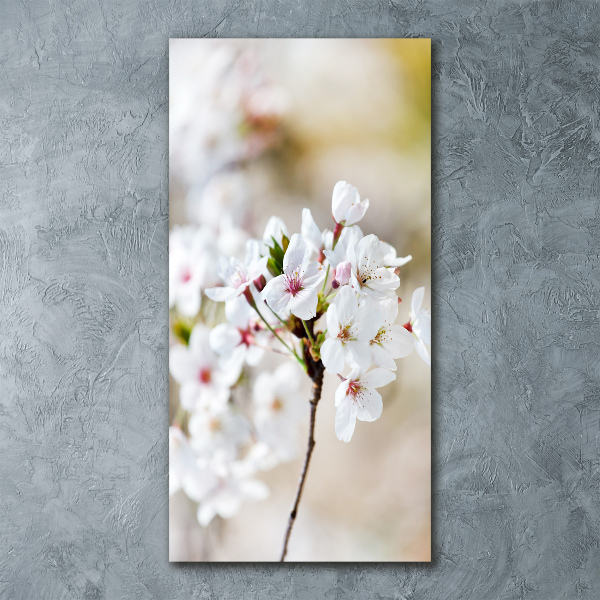 Staand plexiglas foto Kersenbloesems