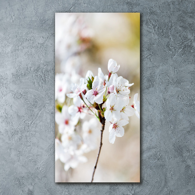 Staand plexiglas foto Kersenbloesems