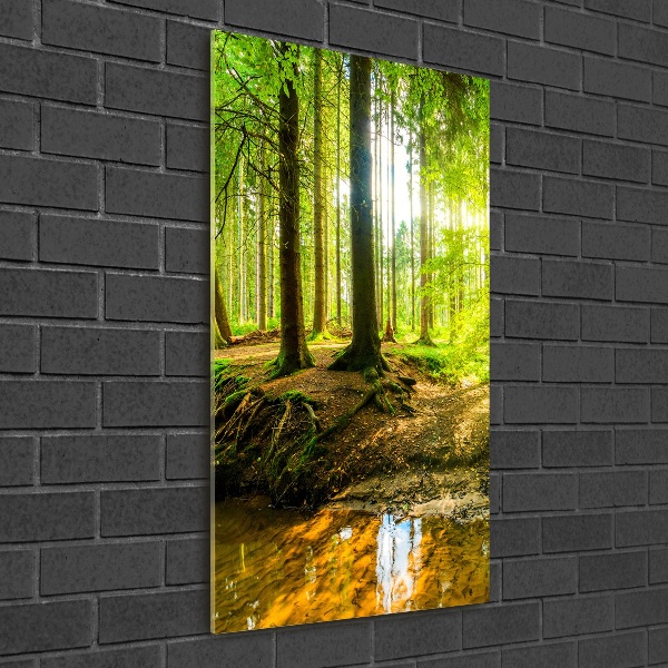 Staand foto plexiglas De zon in het bos