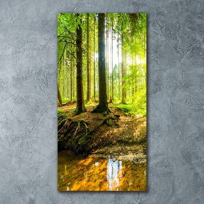 Staand foto plexiglas De zon in het bos