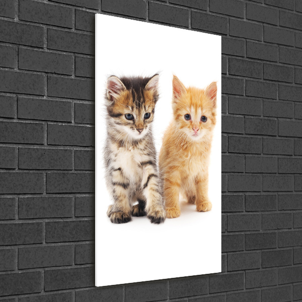Staand foto op plexiglas Grijze en rosse kat