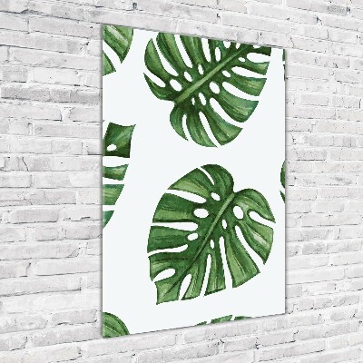 Staand foto in plexiglas Monstera
