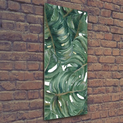 Staand plexiglas foto Monstera