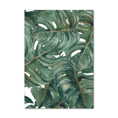 Staand plexiglas foto Monstera