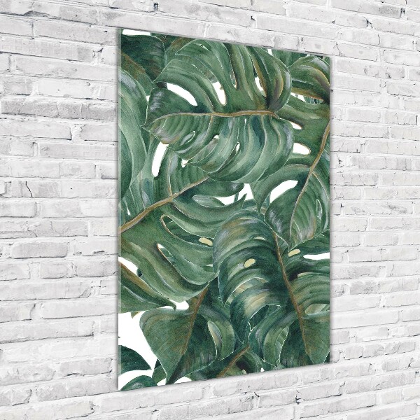 Staand plexiglas foto Monstera