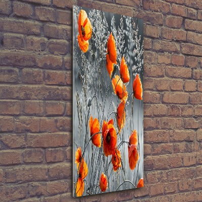 Staand plexiglas foto Klaprozen