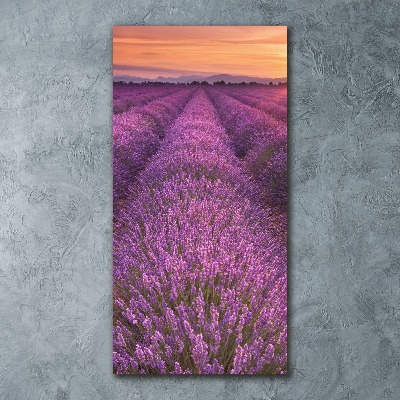 Staand foto plexiglas Lavendelveld