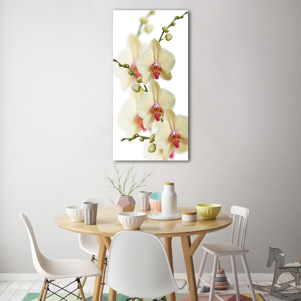 Staand foto in plexiglas Orchidee