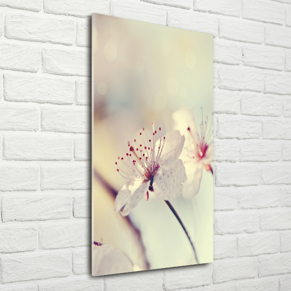 Staand foto plexiglas Kersenbloesems