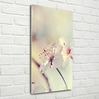 Staand foto plexiglas Kersenbloesems
