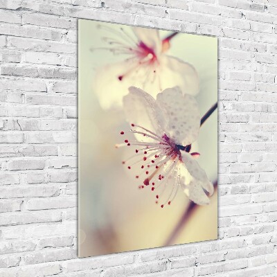 Staand foto plexiglas Kersenbloesems