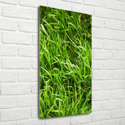 Staand foto op plexiglas Gras