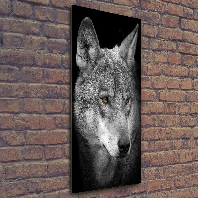 Staand foto plexiglas Portret van een wolf