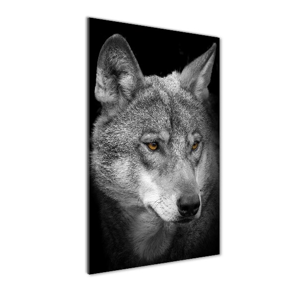 Staand foto plexiglas Portret van een wolf