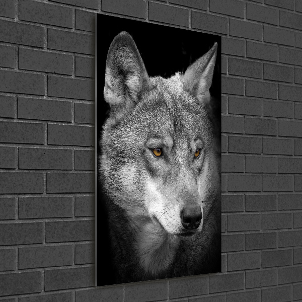 Staand foto plexiglas Portret van een wolf