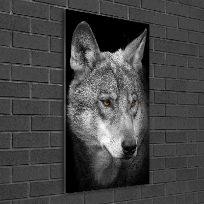 Staand foto plexiglas Portret van een wolf