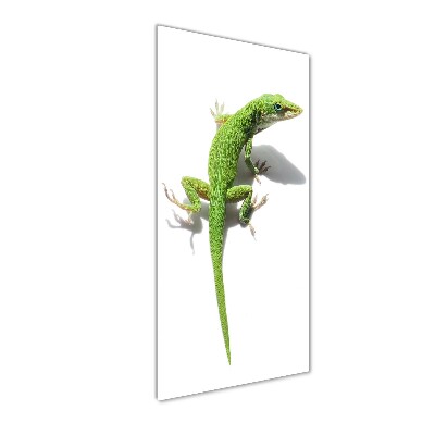 Staand foto in plexiglas Groene hagedis