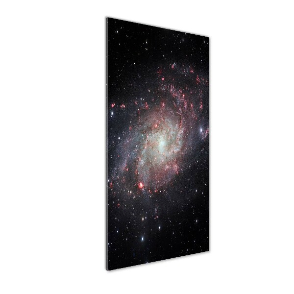 Staand foto plexiglas Nevel