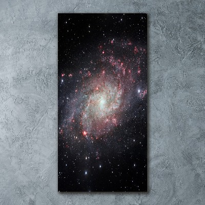 Staand foto plexiglas Nevel