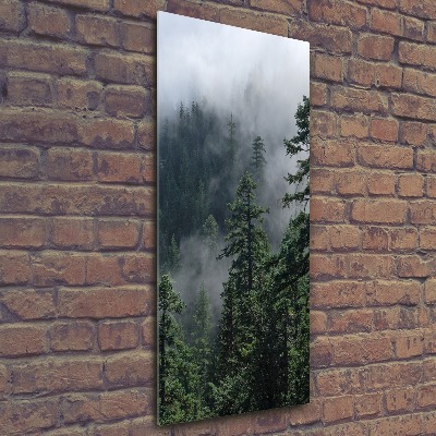 Staand foto op plexiglas Mist boven het bos