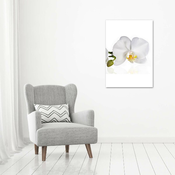 Staand foto plexiglas Witte orchidee