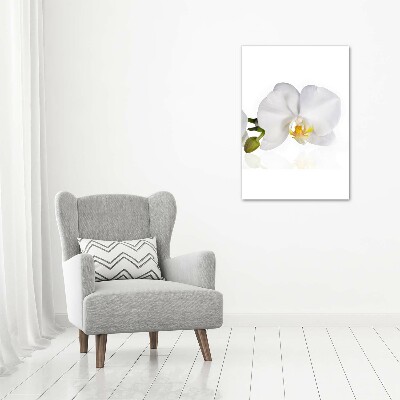 Staand foto plexiglas Witte orchidee