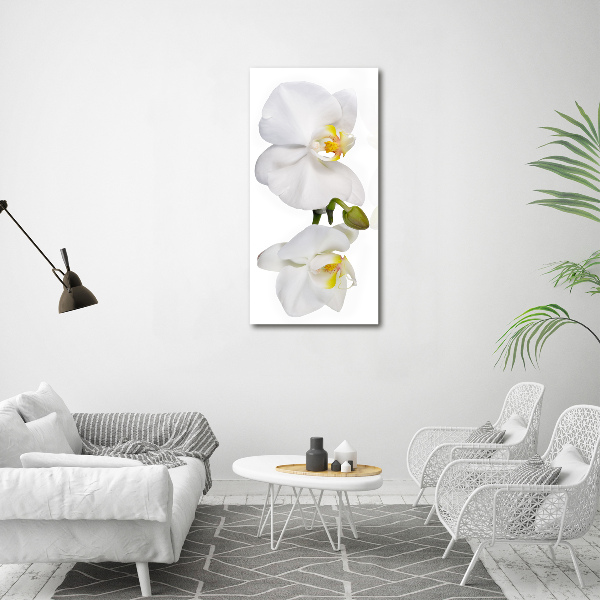Staand foto plexiglas Witte orchidee