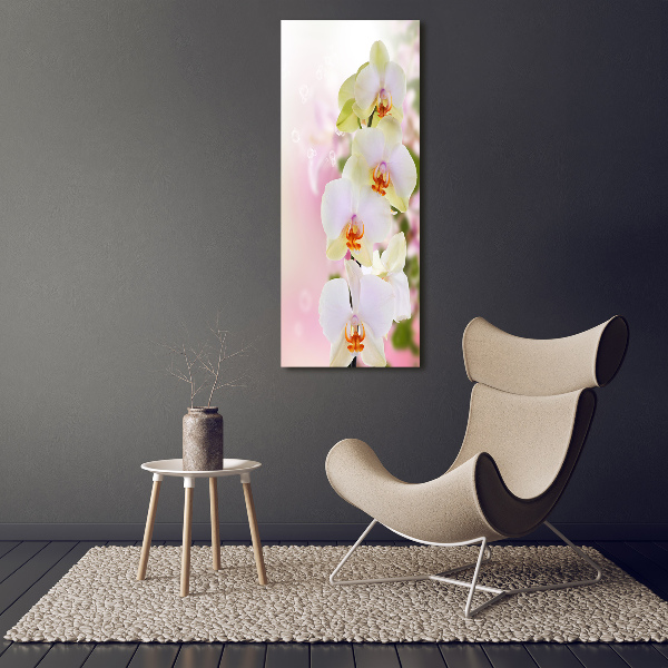 Staand foto in plexiglas Witte orchidee