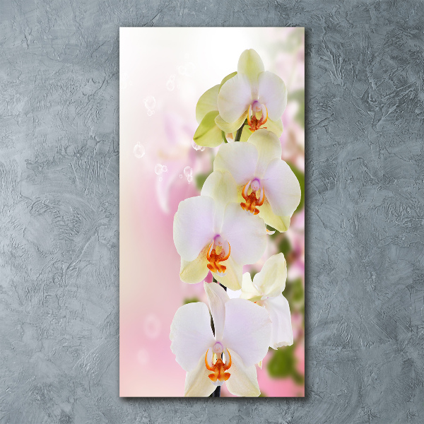 Staand foto in plexiglas Witte orchidee