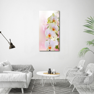Staand foto in plexiglas Witte orchidee